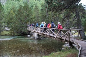 Passerelle au dessus de Sant Nicolau  